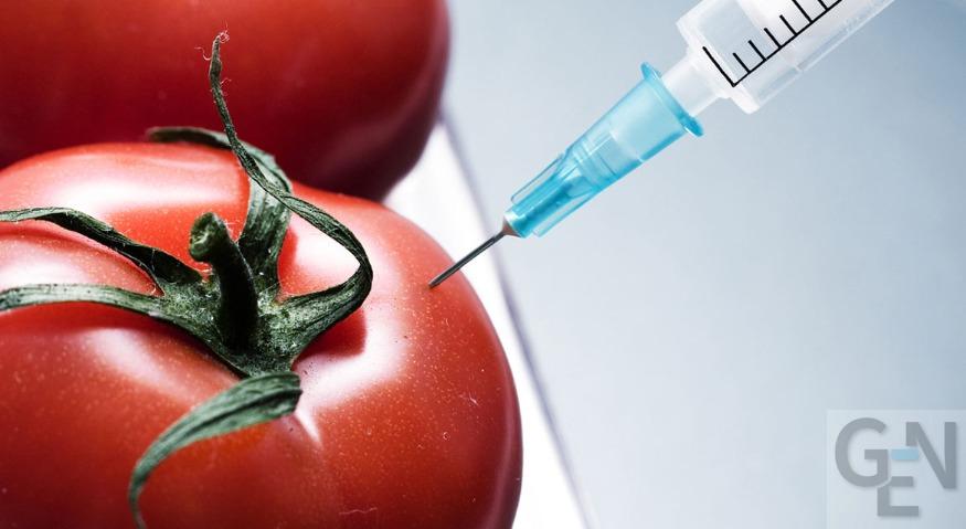 gdo-genetigi-degistirilmis-mikroorganizma-analizleri.jpg